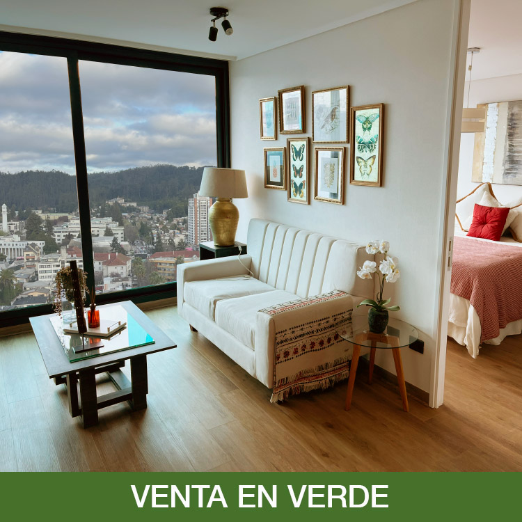 Edificio Paicavi 436 Living
